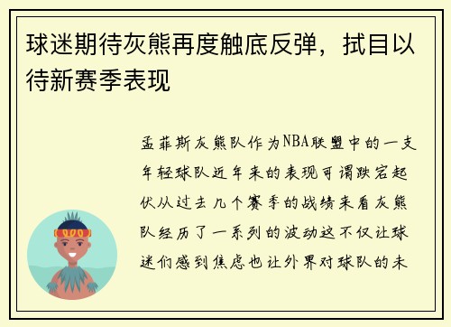 球迷期待灰熊再度触底反弹，拭目以待新赛季表现